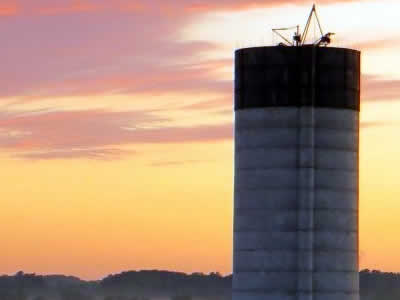 Agricultural Silo Contractor